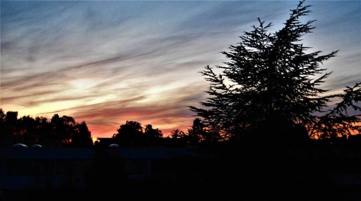 ghosts_at_the_back_window_by_smallcurryleaf_de17vyb-pre