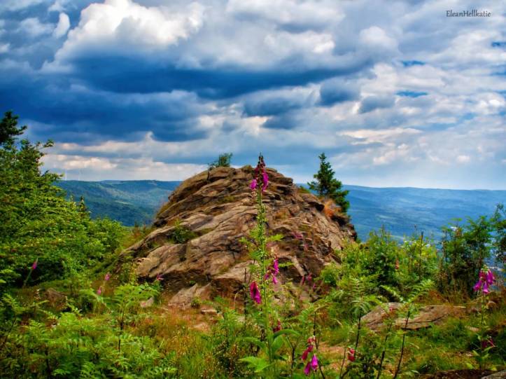 foxgloves_around_the_mountain_by_eleanhellkatie_de2tc3g-pre