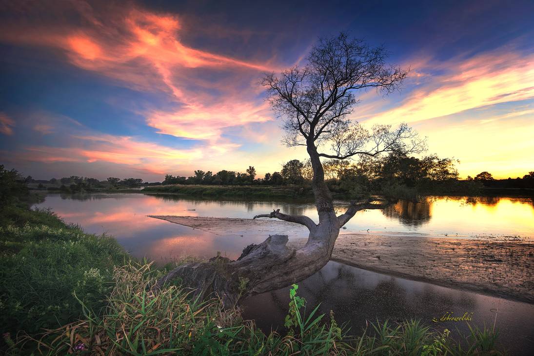 mind_healer_by_hotonpictures_de45kuq-pre