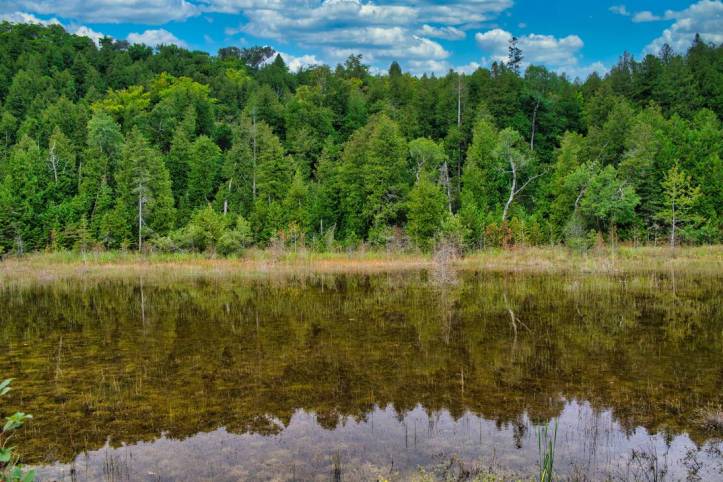 a_pool_of_reflextion_by_nic0nico_de46zq0-pre