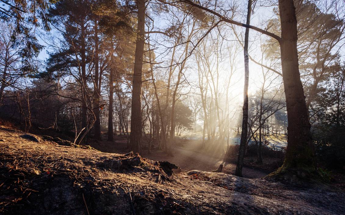 below_by_snomanda_de5exqk-pre