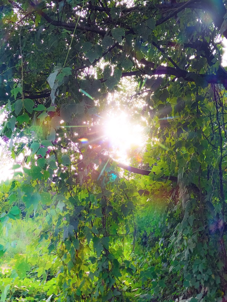 IMG_8395_Facetune_17-09-2020-19-09-37