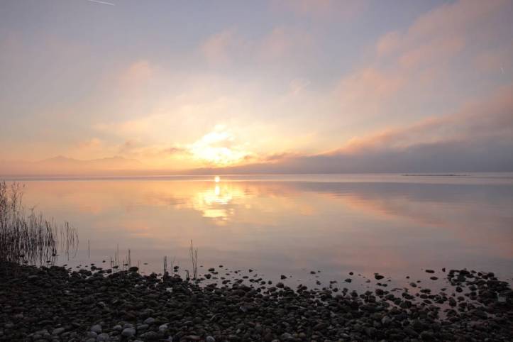 drop_down_by_redsterfish_de9k7u1-pre