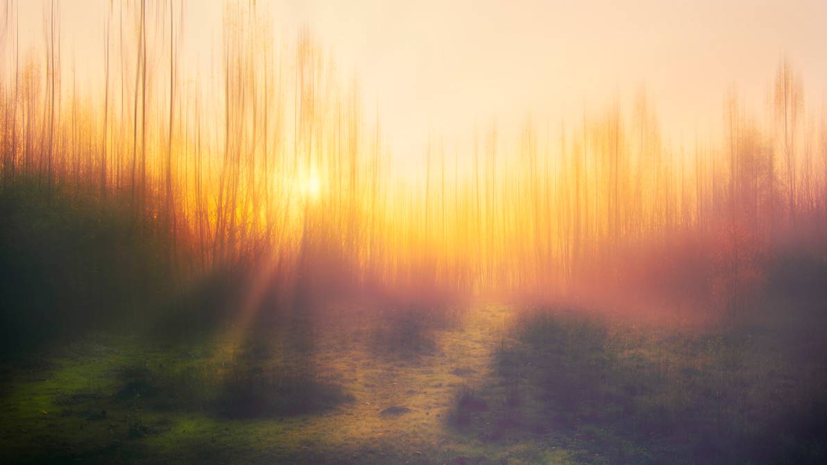 brume_by_dreampaint68_de9vs50-pre