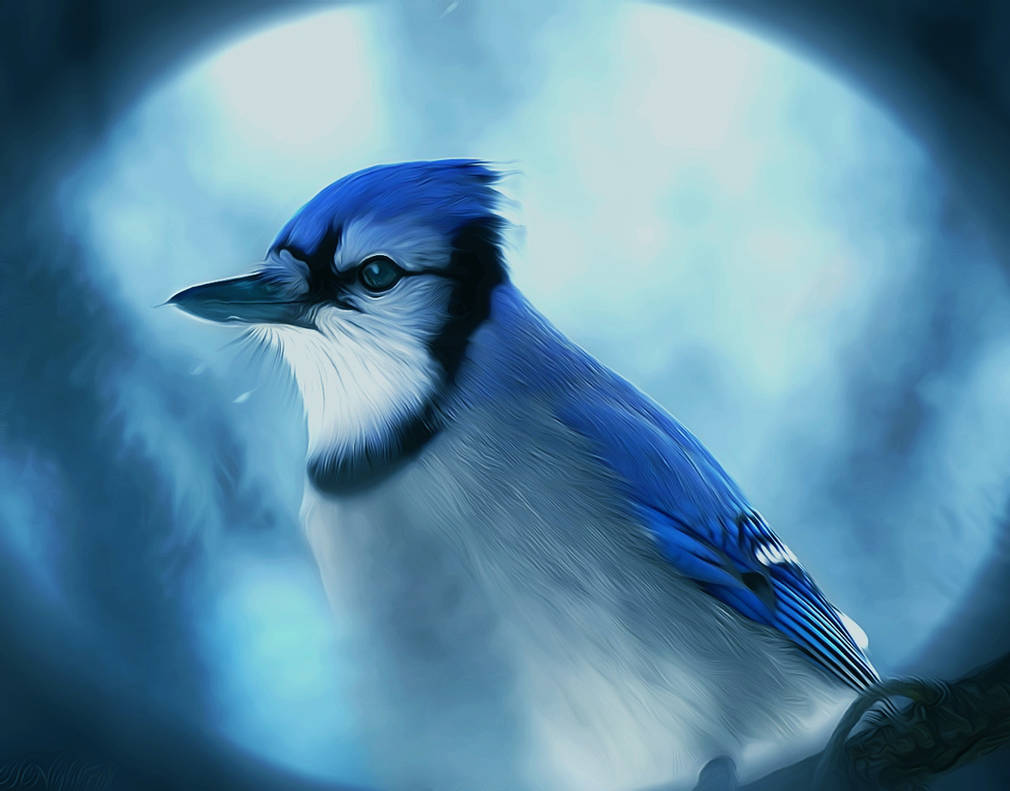 so_blue_by_cjcnightfox_debaclu-pre