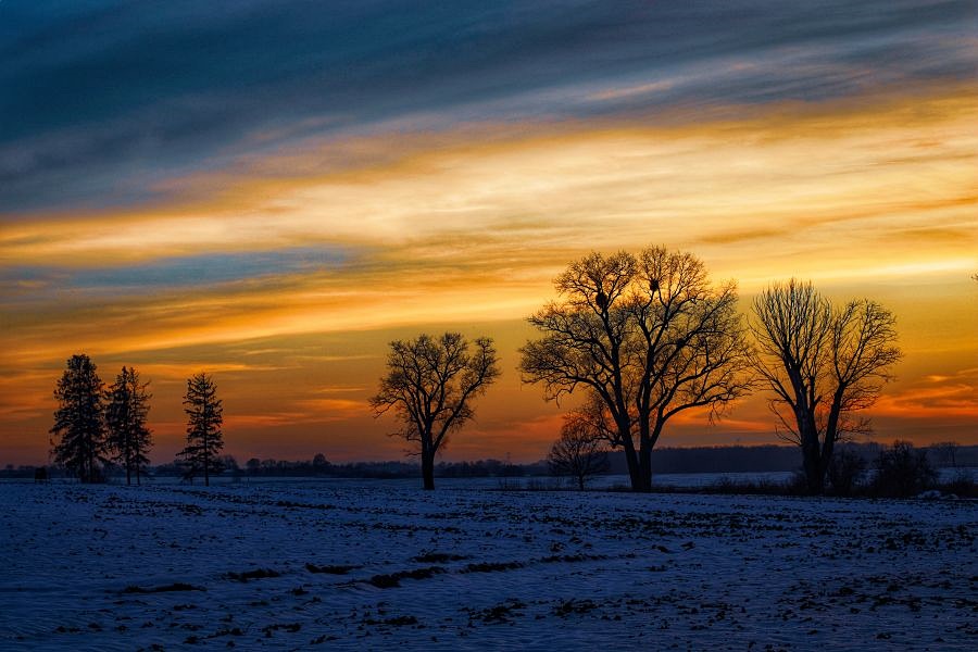 deczldy-97ce586c-d51c-4cad-b147-4465922f629a