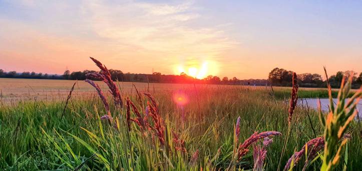 sunset_by_baldriantea_debmm44-pre